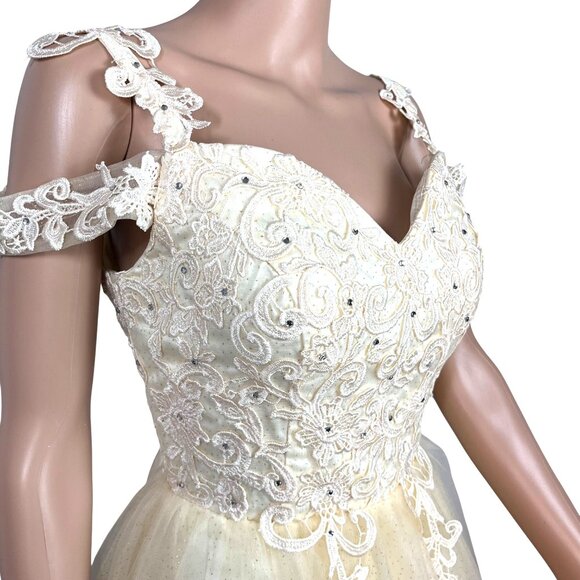 Ivory & Cream Lace & Tulle Short Dress With Rhinestone Accents Size 8 Elegant NW - Picture 3 of 13